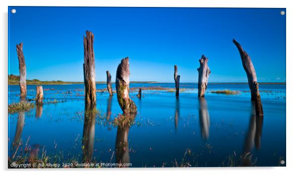 Thornham stumps, high tide -1 hour Acrylic by Bill Allsopp