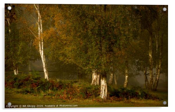 Beacon Hill Birches. Acrylic by Bill Allsopp