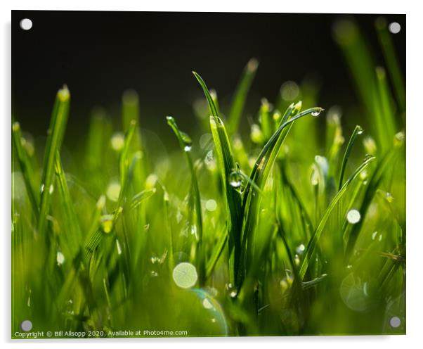Autumn dew on a lawn. Acrylic by Bill Allsopp