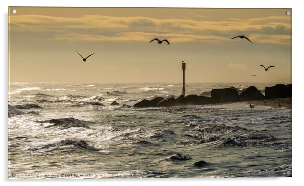 Horsey Gap seagulls. Acrylic by Bill Allsopp