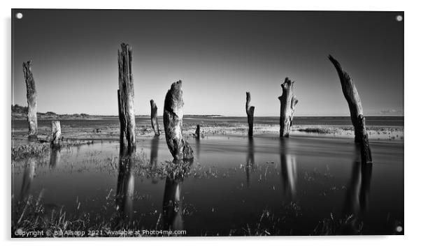 Thornham stumps. Acrylic by Bill Allsopp