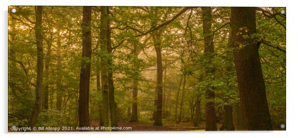 Oak tree panorama. Acrylic by Bill Allsopp