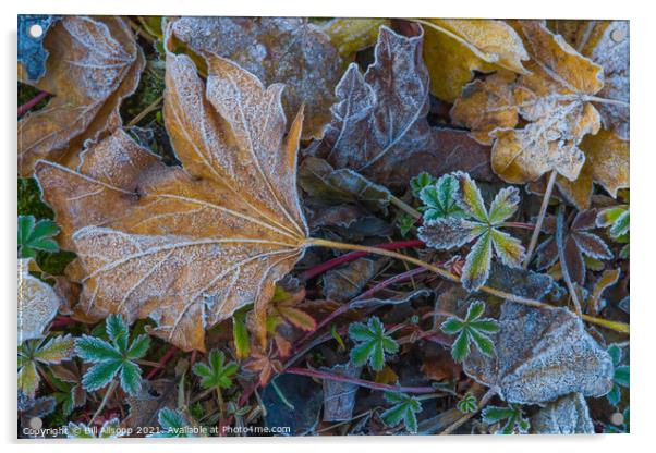 Frosted Leaves. Acrylic by Bill Allsopp