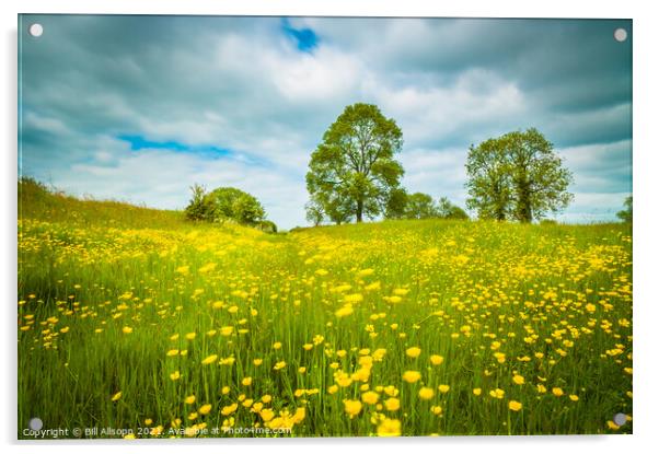 A breeze in the meadow. Acrylic by Bill Allsopp