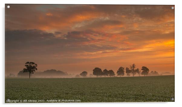 Farmland at dawn. Acrylic by Bill Allsopp