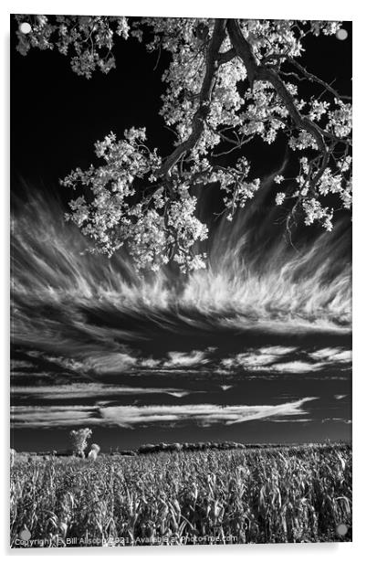 Field, tree and sky. Acrylic by Bill Allsopp