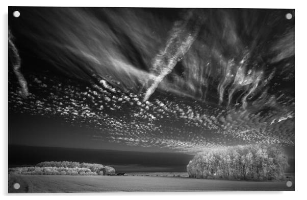 Corn, copse, clouds #2. Acrylic by Bill Allsopp