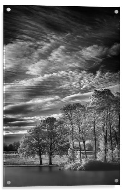 In dawns rays. Acrylic by Bill Allsopp