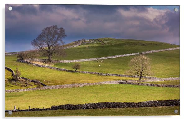 Rolling Derbyshire countryside. Acrylic by Bill Allsopp
