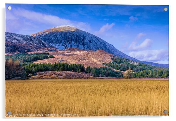 Loch Cill Chriosd Acrylic by Bill Allsopp