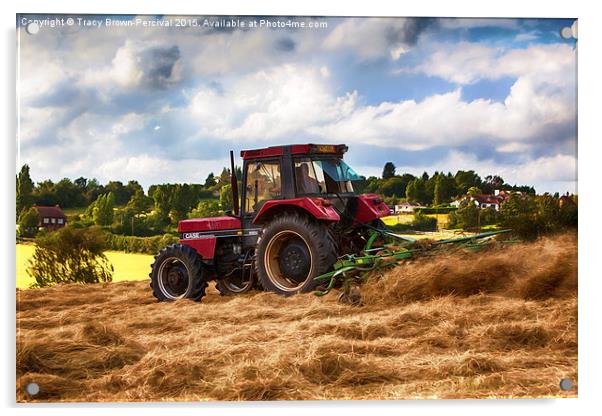 Cutting Hay Acrylic by Tracy Brown-Percival