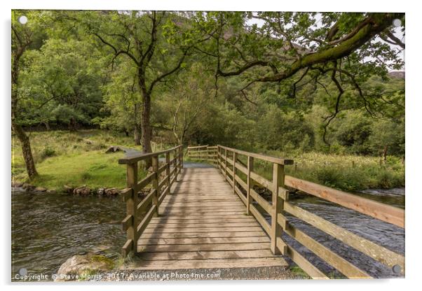 Buttermere Bridge Acrylic by Steve Morris