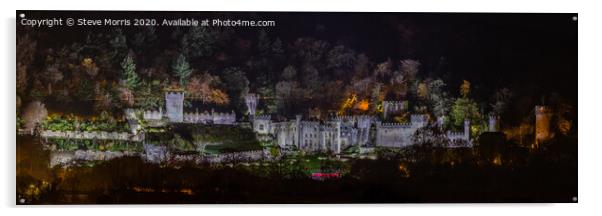 Gwrych Castle Acrylic by Steve Morris