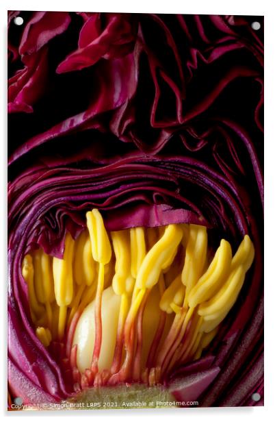Inside a Peony flower bud close up Acrylic by Simon Bratt LRPS