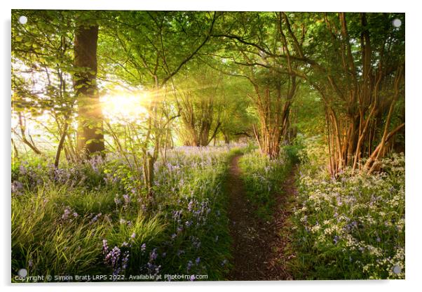 Split path through bluebell woods with sunrise Acrylic by Simon Bratt LRPS