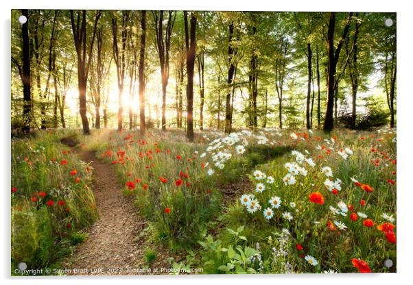 Forest sunrise with spring flowers and path Acrylic by Simon Bratt LRPS