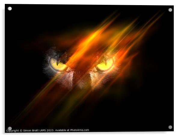Evil animal eyes in the darkness with fire Acrylic by Simon Bratt LRPS