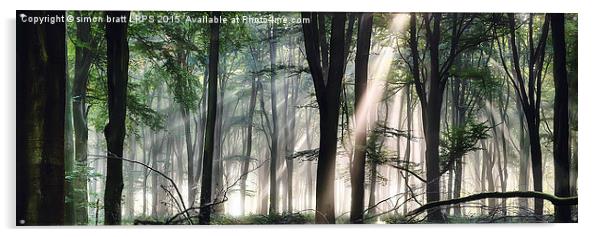 Deep forest morning light Acrylic by Simon Bratt LRPS