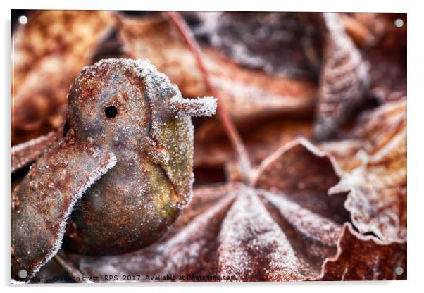 Cute frozen little bird and leaves Acrylic by Simon Bratt LRPS