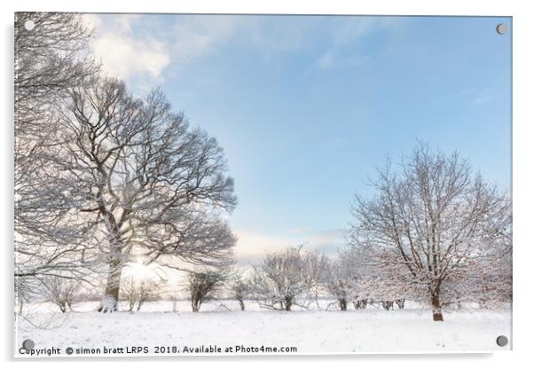 Snow covered tree line with early morning sunrise Acrylic by Simon Bratt LRPS