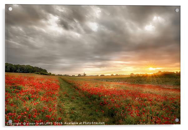 Path through wild poppies at dawn Acrylic by Simon Bratt LRPS
