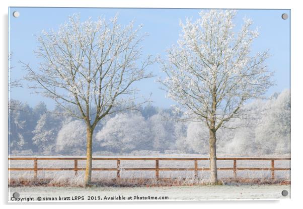 Two trees in a deep frozen winter Acrylic by Simon Bratt LRPS