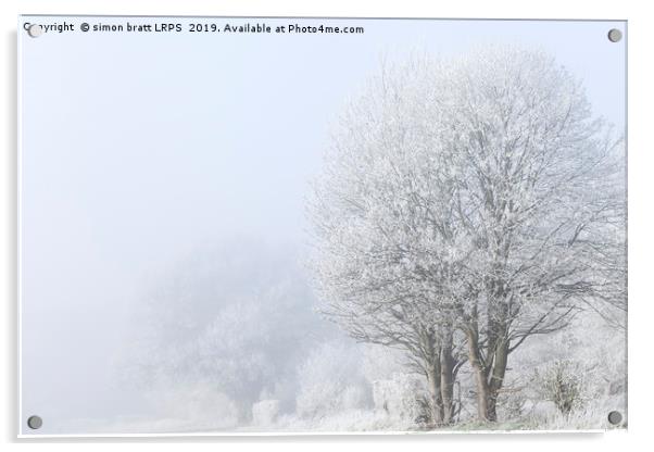 Winter landscape in Norfolk England with frozen fo Acrylic by Simon Bratt LRPS