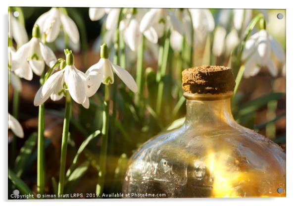 Snowdrops and glass bottle sunrise Acrylic by Simon Bratt LRPS