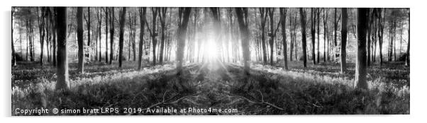 Bluebell woods sunrise in spring black and white Acrylic by Simon Bratt LRPS
