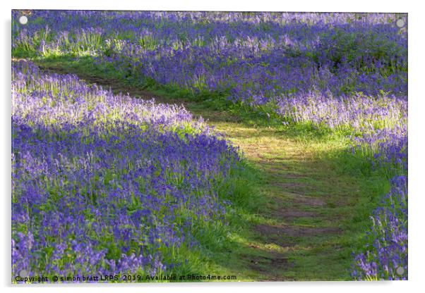 Path through bluebell woodland in spring Acrylic by Simon Bratt LRPS