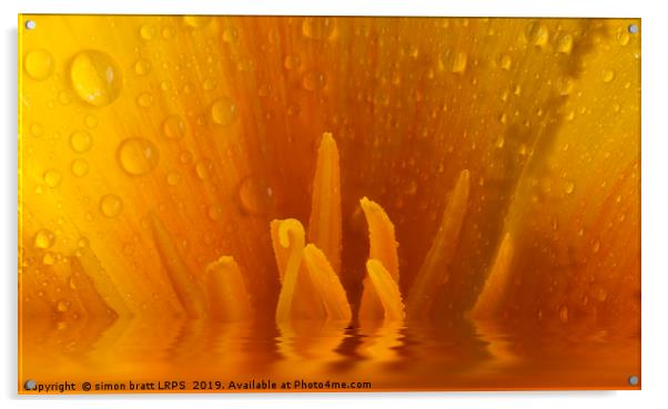 Poppy flower macro and water reflection Acrylic by Simon Bratt LRPS