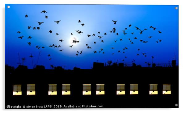 Building windows asleep with birds Acrylic by Simon Bratt LRPS