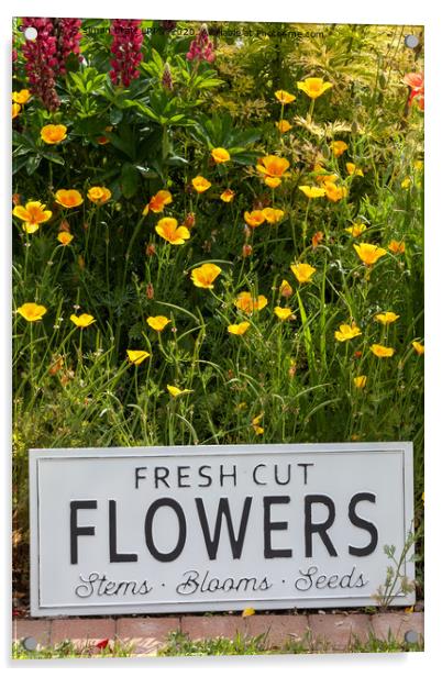 Garden flowers with fresh cut flower sign 0749 Acrylic by Simon Bratt LRPS