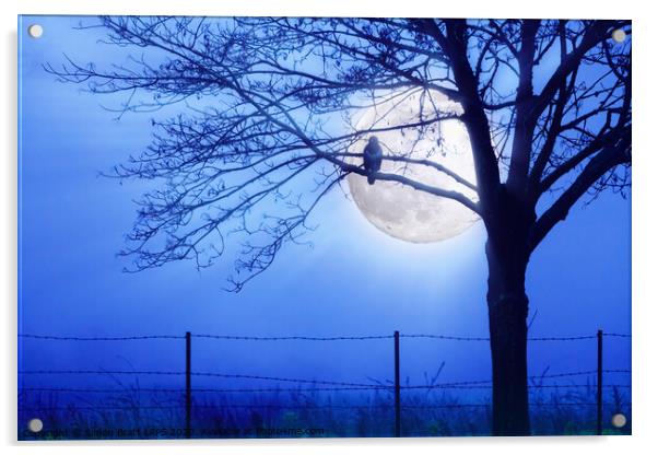 Bird hunting by blue moon light Acrylic by Simon Bratt LRPS