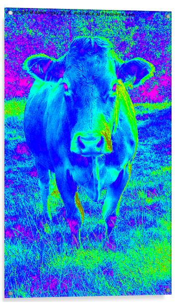  Blue Cow Acrylic by Dawn Rigby