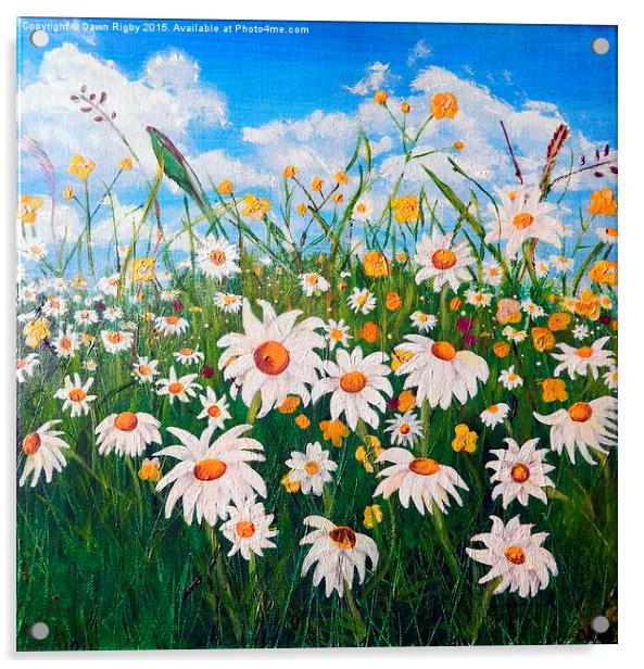  Daisies in the Meadow Acrylic by Dawn Rigby