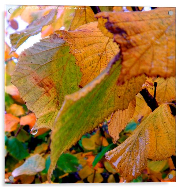  Dew drops on Autumn leaves. Acrylic by Dawn Rigby
