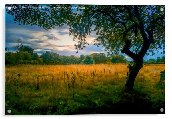 Sunset In Birtle Lancashire Acrylic by Derrick Fox Lomax