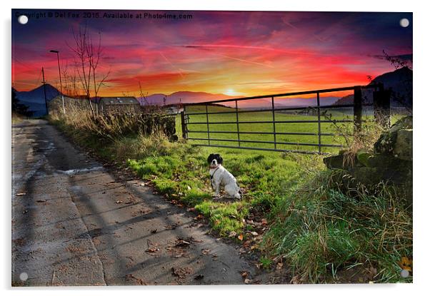  sunset walk Acrylic by Derrick Fox Lomax