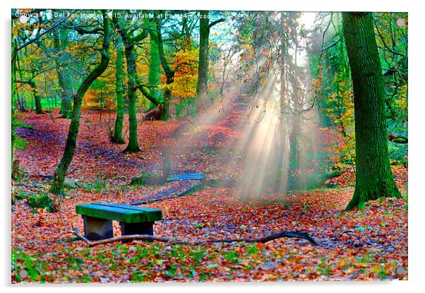  woodland sunrays Acrylic by Derrick Fox Lomax