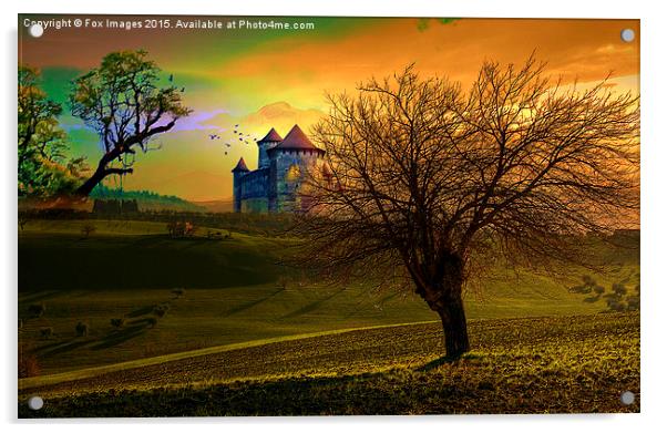  A countryside castle Acrylic by Derrick Fox Lomax
