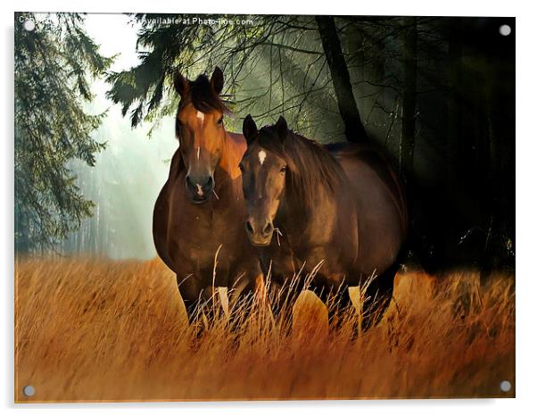  HORSES AND MIST Acrylic by Derrick Fox Lomax