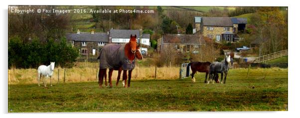 Horses in a field Acrylic by Derrick Fox Lomax