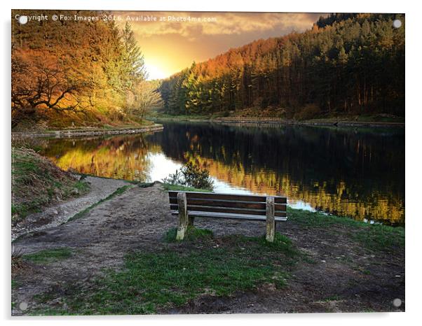 Lakeside view Acrylic by Derrick Fox Lomax