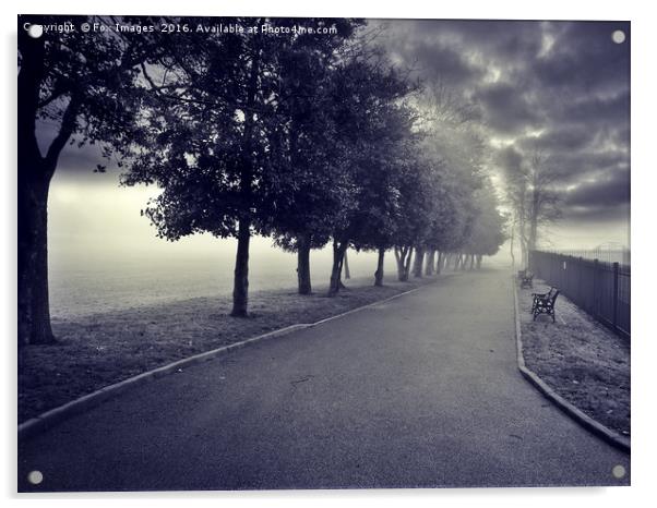 Foggy in the park Acrylic by Derrick Fox Lomax