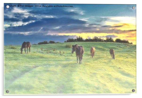 Misty Sunrise horses Acrylic by Derrick Fox Lomax