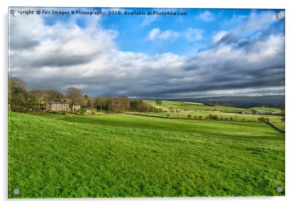 Birtle Landscape Lancashire Acrylic by Derrick Fox Lomax