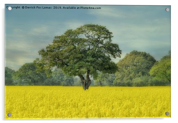 Llangollen countryside Acrylic by Derrick Fox Lomax