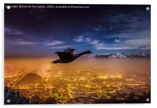 Wildlife flying high Acrylic by Derrick Fox Lomax