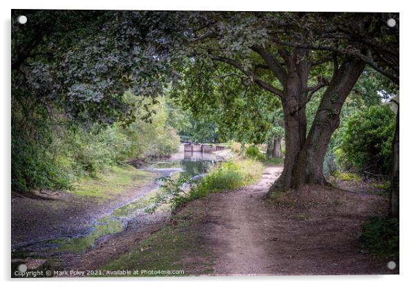 Basingstoke Canal - Dry in Summer  Acrylic by Mark Poley